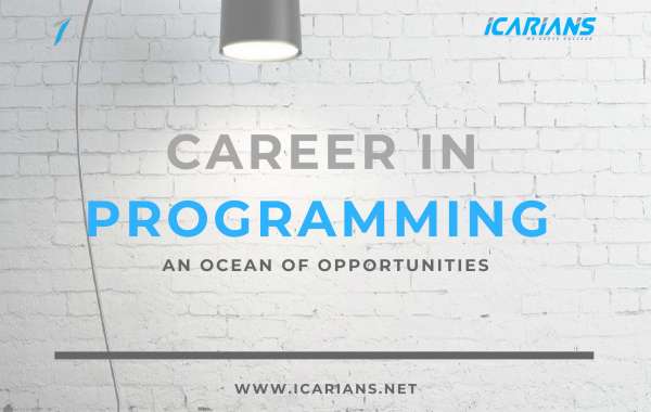 Interested Programming Career-Discover What is Hidden For You
