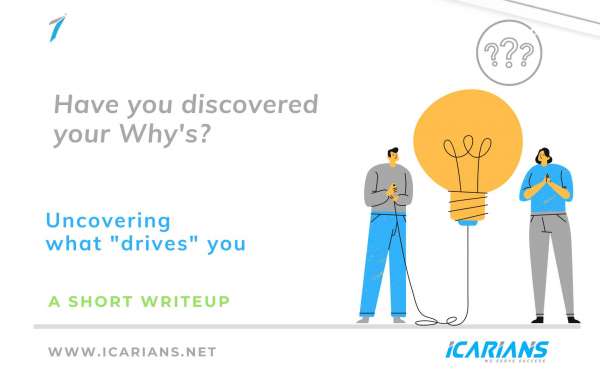 Discover you Why's