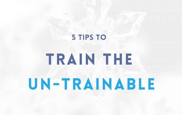 5 Tips to Train the Un-Trainable